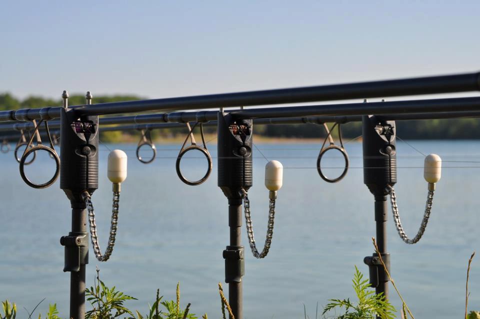 CARP Technology - 559774176020265879620317847112n.jpg